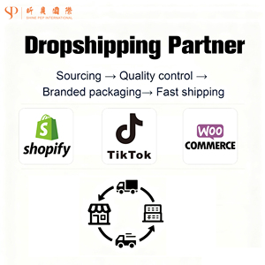 สินค้าดรอปชิปปิ้งสำหรับผู้ขายบน Shopify คู่ค้าดรอปชิปปิ้ง ซัพพลายเออร์จากจีน พร้อมบริการจัดส่งสินค้าฟรีจากคลังสินค้า - Product Image 6