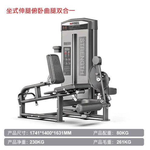 F1087 Extension de jambe assise et flexion de hanche en position allongée, deux-en-un