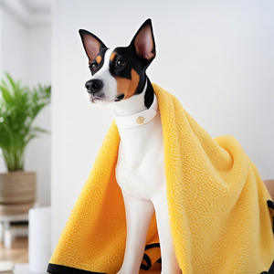 Serviette de bain pour animaux de compagnie, séchage rapide, en polaire corail, pour chien et chat, épaisse, douce, design classique de dessin animé, plastique inclus, vente en gros - Product Image 1