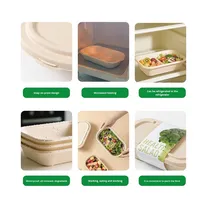 Milieuvriendelijke Lunchboxen Voor Wegwerppapier Met Deksel Biologisch Afbreekbare Voedselverpakking Voor Afhaalmaaltijden