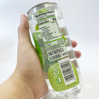 OEM Elisha/Marque privée 350ml Eau gazeuse aromatisée à la pomme verte Boissons gazeuses 12 mois de durée de conservation Vente en gros Xiamen