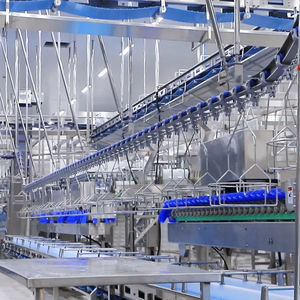 Equipo de matadero de patos Halal Raniche Máquina de preparación de patos Línea de producción automática de matadero de patos - Product Image 2