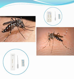 뎅기열 항체 신속 검사 카세트 |   원스텝 측면 흐름 장치 |   OEM 제조업체 - Product Image 3