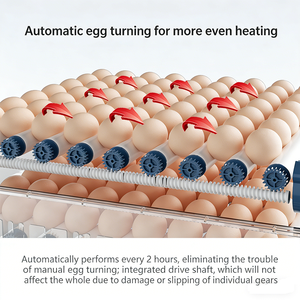 Incubadora de Huevos Automática 3 en 1 con Espacio Ajustable para Aves de Corral, Incubadora Doméstica para Pollos, Patos, Gansos y <span class=keywords><strong>Palomas</strong></span> - Product Image 5
