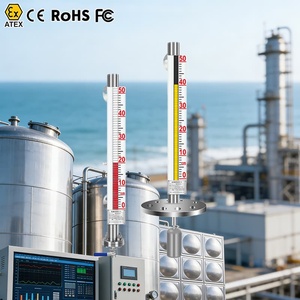 Sensor de Nivel Magnético, Medidor de Nivel de Gasolina Clase Uno, Medidor de Nivel de Agua, Indicador de Nivel Magnético Digital - Product Image 5