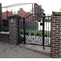 Conception simple villa clôture et porte jardin noir petite porte piétonne