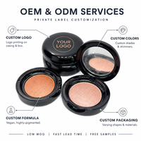 Poudre illuminatrice ultra-fine cuitée, soyeuse, effet peau de verre, éclat lumineux, végane, sans cruauté, marque privée, poudre scintillante pour le visage, OEM ODM