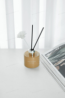 Flacon diffuseur de parfum vide en verre moderne – Personnalisez votre contenant de parfum pour la maison et la voiture 50ml 100ml Logo personnalisé OEM/ODM Offre Spéciale