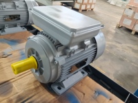 Moteur asynchrone à induction monophasé à double condensateur série ML 0,18 kW 1500 tr/min, bobinage 100 % cuivre, IP54, étanche à la condensation, 220 V