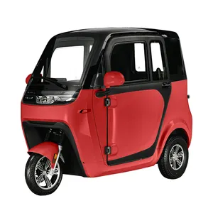 Mini 3 Wheel Enclosed Automatic Enclosed Tricycle Truck Electric Tricycle