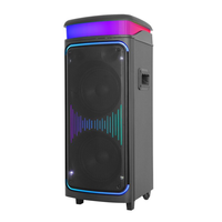 Enceinte Bluetooth portable multifonction Diamond Private Model avec double woofer de 8 pouces, 2 voies, éclairage LED Aurora Starlight RVB, chariot avec USB