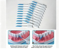 Brosses interdentaires en silicone souple multi-usages, 40 pièces, cure-dents portables pour le nettoyage des dents, haleine fraîche, brosses interdentaires souples