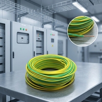 Fil de cuivre massif BV isolé PVC 450/750V pour ligne de production de machines de remplissage et de cuves d'émulsification pour usines de cosmétiques