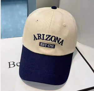 Wholesale Cheap 6-Panel Golf Gorras Gorros Streetwear Cotton Baseball Cap Custom Logo Blank Foam Mesh Trucker Hat Unisex Sports - Product Image 5