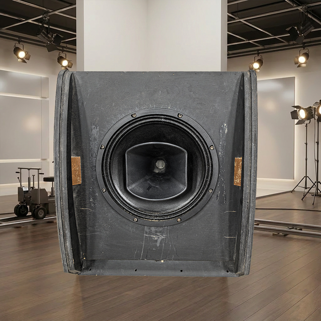LS3 Coaxial 12-inch Monitor Speaker 250W/400W 8 Ohm Impedance XLR/Speakon Connectivity Wood Shell Floor Standing Mono 3-Year