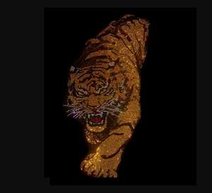 <span class=keywords><strong>Abbigliamento</strong></span> corto con Logo personalizzato di alta qualità con motivi in ferro a trasferimento termico e Design con strass - Product Image 2