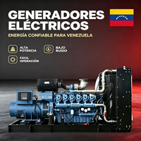 Diesel-Stromgenerator 50kVA-1000kVA Geräuscharm Offene Bauweise Ideal für Kommerzielle Projekte in Venezuela