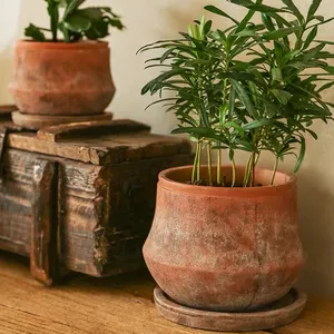 Decorazioni per il giardino di casa vaso da fiori in terracotta naturale in cemento vintage de fleur vasi per piante in terracotta all'ingrosso con piattino