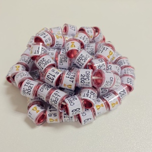 Fournisseur Commercial Gravierte Canard <span class=keywords><strong>Pigeon</strong></span> Bagues Personnelles <span class=keywords><strong>Pigeon</strong></span> Suivi <span class=keywords><strong>Gps</strong></span> <span class=keywords><strong>Bague</strong></span> Pha 2021 Anneaux de <span class=keywords><strong>Pigeon</strong></span> - Product Image 5