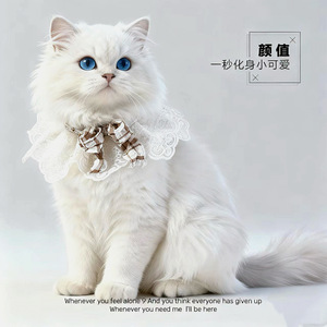 <b>Lace</b> bow adjustable <b>elastic</b> pet bib, dog drool bib, pet supplies wholesale, cat collar - Product Image 3