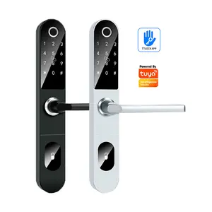 Nova Chegada Inteligente BLE TTlock App Smart Home Door Lock WiFi Tuya App Impressão digital Door Lock