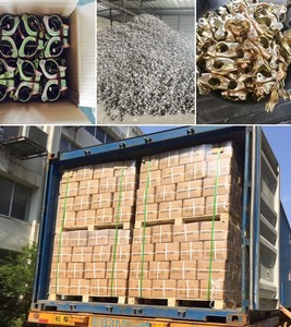 Cônes de <span class=keywords><strong>suspension</strong></span> pour la construction de coffrages - Product Image 5