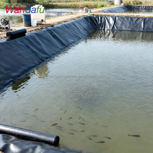 Agrarische Gladde Hdpe Geomembrane Voering Voor Viskwekerij Garnalen Vijver Stortplaats-Anti-Uv & Duurzaam - Product Image 3