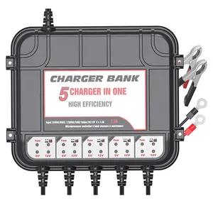 5银行多电池充电器12或6V 1.5A快速充电器电源组，用于给汽车和船用铅酸电池充电