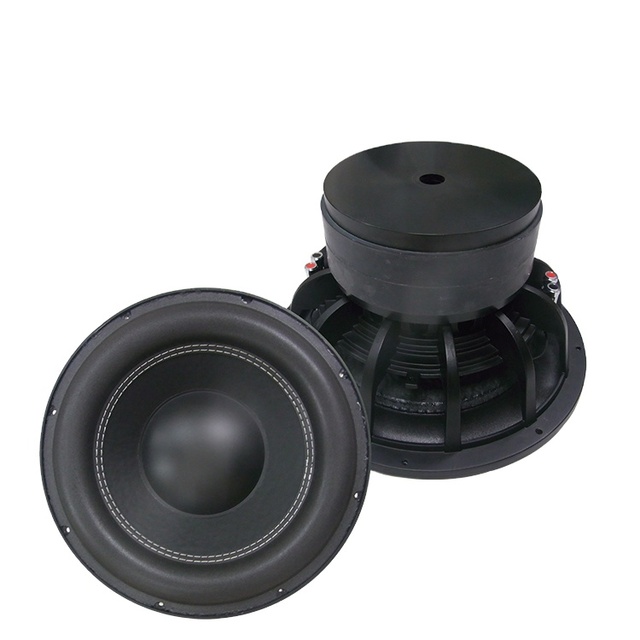 OEM 12-Inch 300W Powered Subwoofer Woofer Hot Design Iron Material for Car Audio