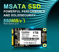 Unidad Ssd portátil M-Sata 128Gb 256Gb 512Gb 1Tb Discos duros de estado sólido Disco Duro Ssd Mini Msata