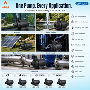 Pompe de circulation à entraînement magnétique sans balais 24V DC personnalisée OEM, 8000 L/H, 10 mètres, avec contrôle de vitesse PWM, IP68 ZKSJ - Product Image 3