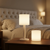 Lampe sur pied, lampe de table, énergie solaire, lumière blanc chaud, commande par interrupteur, design contemporain, matériau PVC, utilisation en jardin