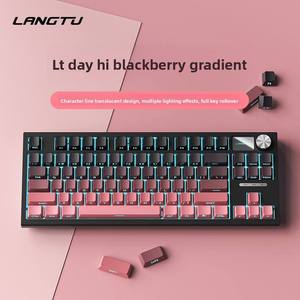High-end Customized Mechanical Gasket Structure Wired Single Light Backlit Full Key Anti-Ghosting Gaming Competitive <b>Keyboard</b> - Product Image 5