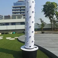 Hydrocultuur Toren Groeiende Systeem