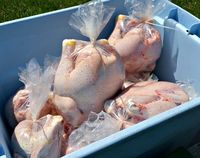 Emballages alimentaires pour volailles Ocean Health, sacs en plastique nylon PE thermoscellables, résistants à l'humidité, surface de marquage à chaud