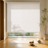 Stores à enroulement personnalisables en tissu, à commande manuelle par chaîne, sur mesure, à fixation murale pour bureaux et salles de réunion