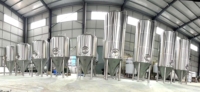 Fermenteur à bière de qualité supérieure 1000L avec chemise de refroidissement à alvéoles pour brasserie, également adapté à la fermentation du vin, capacités de fermentation allant de 2000L à 500L