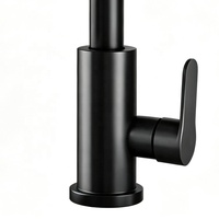 Keran Dapur Modern Matte Black Plastik, Model Deck Mounted, Tuas Tunggal, Air Panas Dingin, Semprotan Tarik, Mixer Tap
