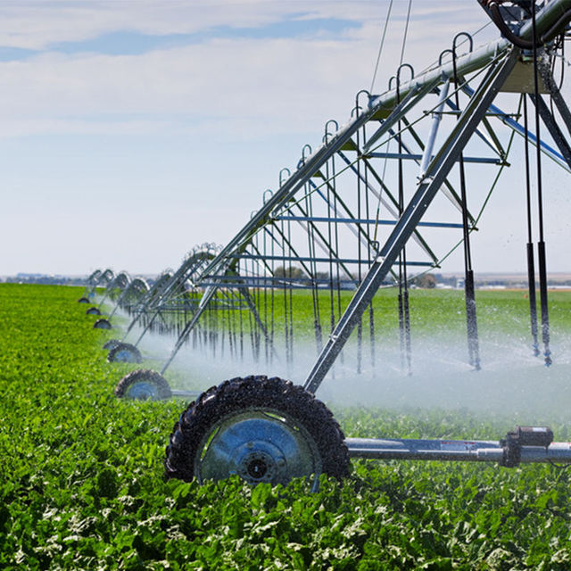 20ha Solar Central Pivot Irrigation System Gearbox Motor Metal Construction Energy-Saving Pasture Irrigator Featuring Remote