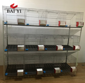 ขายส่ง<span class=keywords><strong>เนื้อ</strong></span>สัตว์12กรงกระต่ายสำหรับ<span class=keywords><strong>ฟาร์ม</strong></span><span class=keywords><strong>กระต่าย</strong></span> - Product Image 4