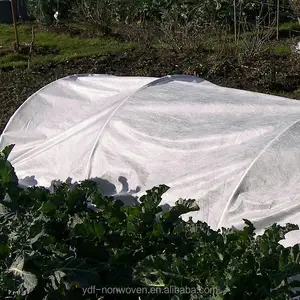 17gsm 1.6x10m Anti Uv Polypropylene Nonwoven Plant Frost Protection Cover