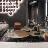 Juego de Mesa de Centro de Diseño Creativo Moderno Italiano, Mesa de Centro de Plástico y Metal con Forma de Hoja de Loto para Sala de Estar