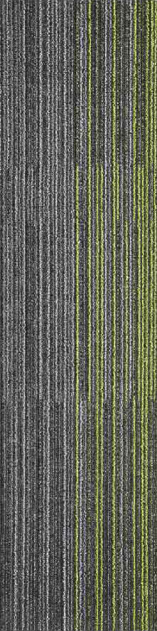 Gris8