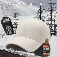 Casquette de baseball au design tendance pour hommes et femmes, avec étiquette latérale simple, en tissu anti-UV, idéale pour le sport, les activités de plein air et les occasions décontractées au printemps.