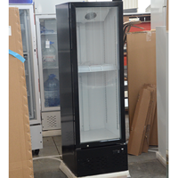 Congélateur vertical à dégivrage automatique, porte vitrée, refroidissement par air, éclairage LED, congélation profonde, pour café