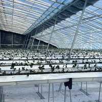 Sainpoly film serre plantation verticale Culture Kit de gouttière en PVC Culture hors sol Plantation de gouttière pour fraise
