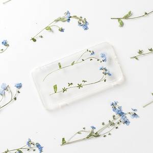 Dimenticardimelo con rami di materiale per veri fiori confezionare segnalibro con fiore essiccato esemplare di pianta in rilievo - Product Image 2