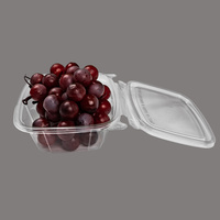 Direct van de fabriek: multi-specifieke wegwerp transparante voedselboxen voor salade, fruit, maaltijdvoorbereiding, commerciële logistiek en circulatiescenario's.