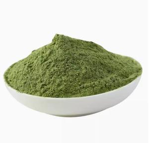 OEM Private Label Stock Super Food verdi in polvere enzimi digestivi con probiotici e prebiotici per la salute intestinale delle donne