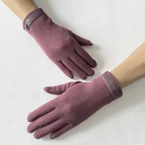 BSCI Manufacturer Women Winter Driving Warm And Cold Proof Fashion Touch Screen Gloves